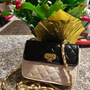 Jay Herbert New York mini crossbody bag.